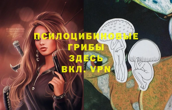 COCAINE Балахна