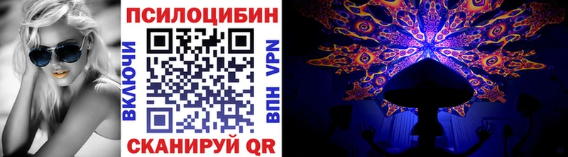 KRAKEN ссылки  где продают   Давлеканово  Псилоцибиновые грибы Cubensis 